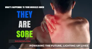 Muscle Soreness Explained: Understanding the Science Behind Post-Workout Pain