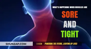 Understanding Muscle Soreness and Tightness: Causes, Remedies, and Recovery