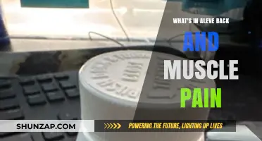 Aleve Back & Muscle Pain: Ingredients, Uses, and Relief Explained