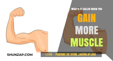 Understanding Hypertrophy: The Science Behind Gaining More Muscle Mass