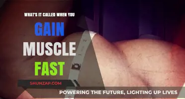 Rapid Muscle Growth: Understanding the Phenomenon of Quick Strength Gains