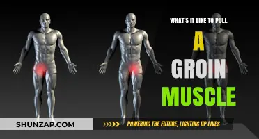 Pulling a Groin Muscle: Pain, Recovery, and What to Expect