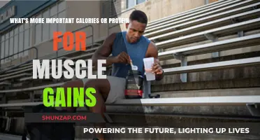 Calories vs. Protein: Unlocking the Key to Muscle Gains
