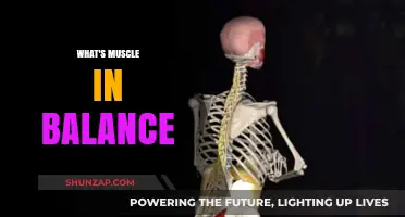 Finding Balance: Muscle Workout and Recovery
