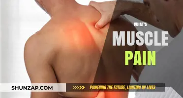 Understanding Muscle Pain: Causes, Symptoms, and Effective Relief Strategies