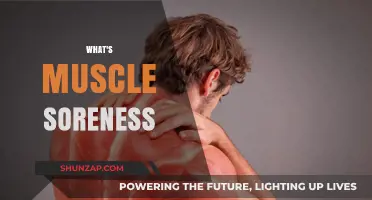 Understanding Muscle Soreness: Why Your Muscles Ache