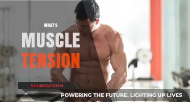Understanding Muscle Tension: Causes and Relief