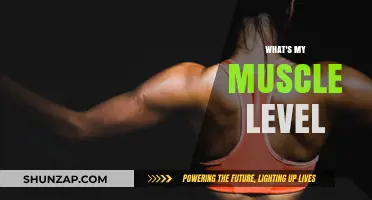 Assessing Your Muscle Level: How Strong Are You?