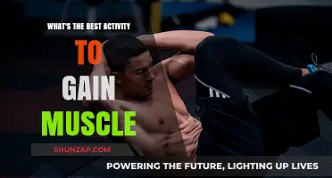 Effective Muscle-Building Activities: Top Strategies for Strength and Growth