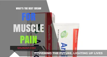 Top Muscle Pain Relief Creams: Find the Best for You