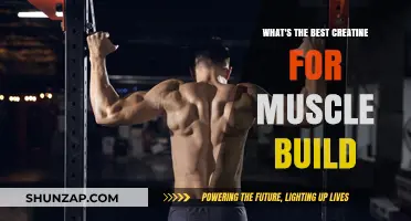 Unlocking Gains: The Ultimate Guide to Choosing the Best Creatine for Muscle Building