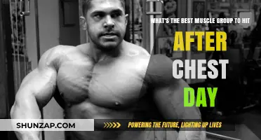 Post-Chest Workout: Optimal Muscle Groups to Target Next