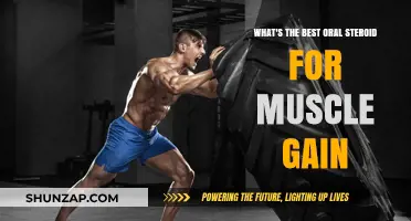 Top Oral Steroids for Muscle Gain: Benefits and Risks