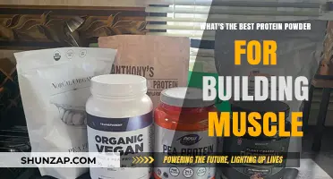 Unlock Your Muscle Potential: The Ultimate Protein Powder Guide