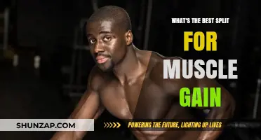 Optimal Workout Split Strategies for Maximum Muscle Gain Revealed