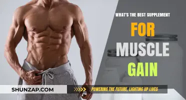 Top Muscle-Building Supplements: What Works Best for Gains?