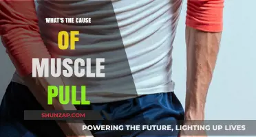 Understanding Muscle Pulls: Causes, Prevention, and Effective Recovery Tips