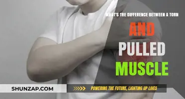 Torn vs. Pulled Muscle: Understanding the Key Differences and Symptoms
