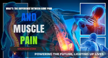 Bone Pain vs. Muscle Pain: Understanding the Key Differences