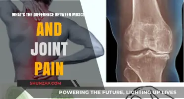 Muscle vs. Joint Pain: Understanding the Key Differences and Causes