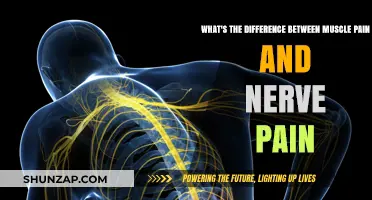 Muscle Pain vs. Nerve Pain: Understanding the Key Differences