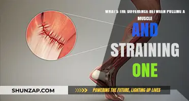 Muscle Pull vs. Strain: Understanding the Key Differences