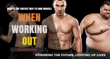 Maximize Muscle Growth: Proven Strategies for Rapid Results in the Gym