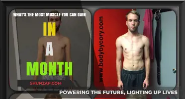 Max Muscle Growth: Realistic Monthly Gains and How to Achieve Them