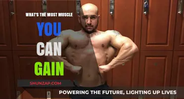 Maximize Your Muscle Gain: Understanding Your Body's Potential