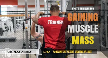 Mastering Muscle Mass: Proven Rules for Effective Strength Gains