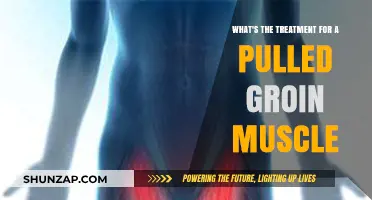 Effective Treatment Options for Pulled Groin Muscle Recovery and Relief
