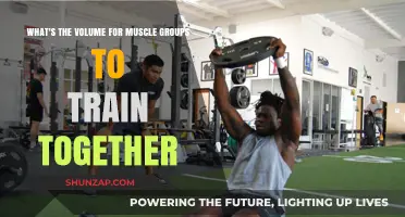 Optimal Muscle Group Pairing: Training Volume Strategies for Effective Workouts