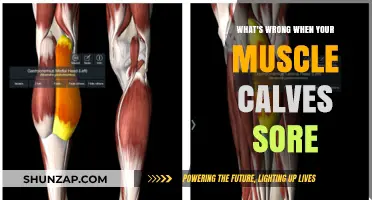 Why Your Calf Muscles Are Sore: Common Causes and Solutions