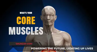 Core Muscles: What Are They and Why Are They Important?