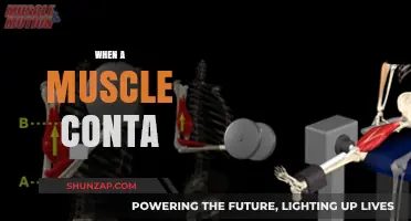 How Muscle Contractions Work and Why They Matter