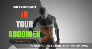 Understanding Abdominal Muscle Cramps: Causes and Relief