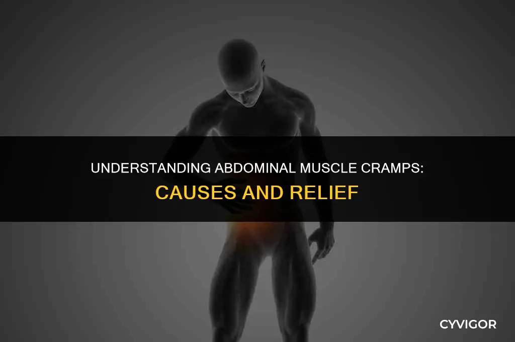 when a muscle cramps in your abdomen