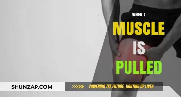 Understanding Pulled Muscles: Causes, Symptoms, and Effective Recovery Tips