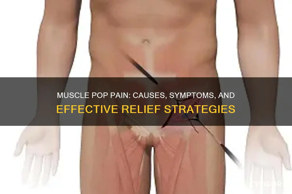 when a muscle pops with pain