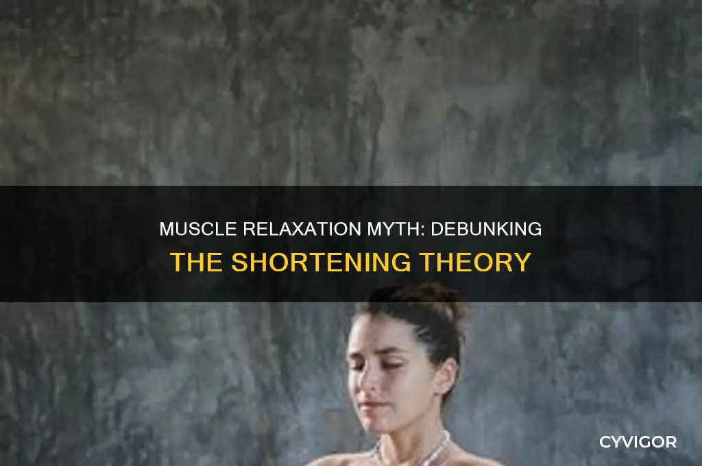 when a muscle relaxes it becomes shorter