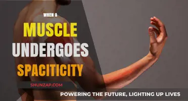 Muscle Spasticity: Understanding the Cause and Effect