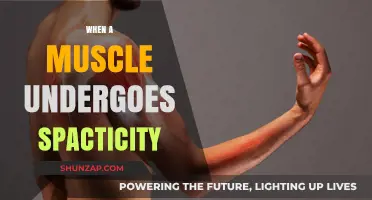 Understanding Muscle Spasticity: Causes and Treatment Options