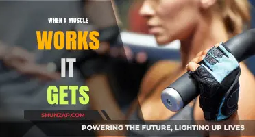 How Muscles Grow: Understanding the Science Behind Workouts and Gains