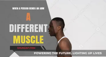 Muscle Mechanics: How Bending Your Arm Engages Different Muscles