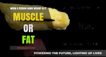 Muscle or Fat: Understanding Weight Gain and Body Composition