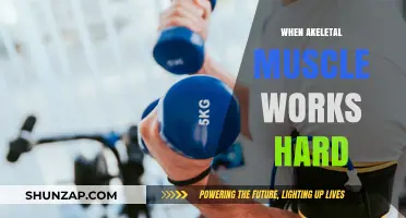 How Skeletal Muscles Perform Under Intense Physical Strain and Effort