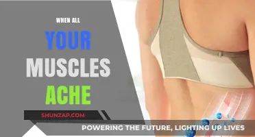 Muscle Aches: What Your Body is Trying to Tell You