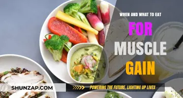 Fuel Your Gains: Optimal Timing and Foods for Muscle Growth