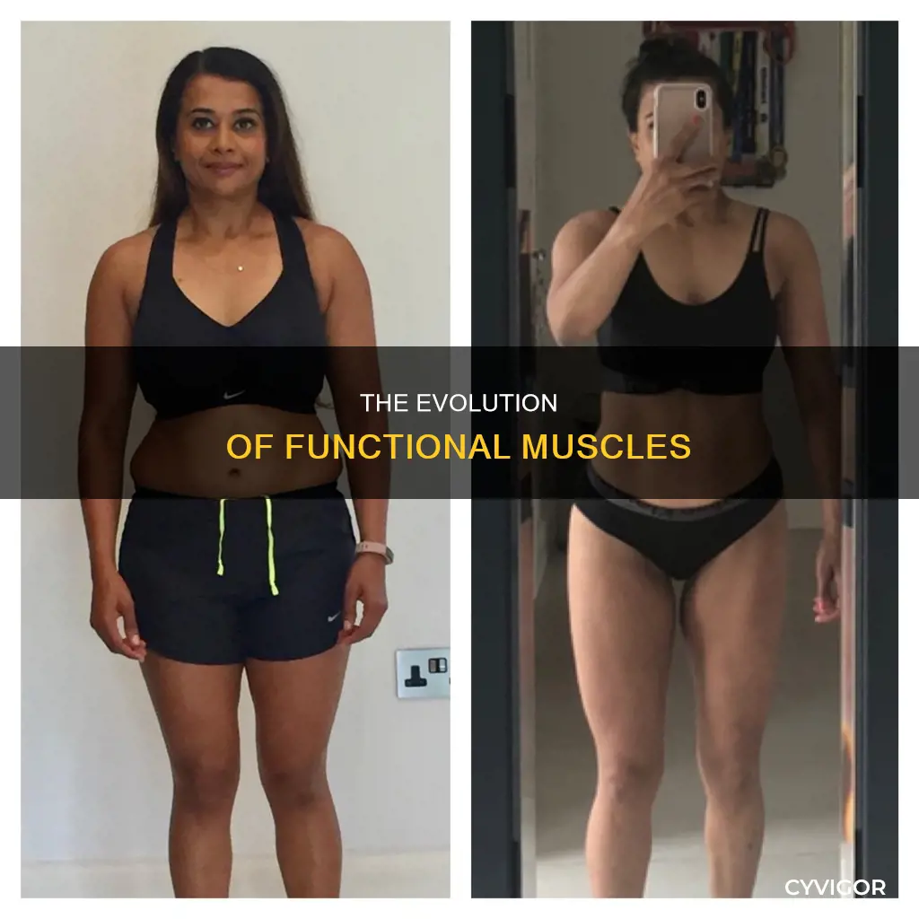 when are functional muscles present