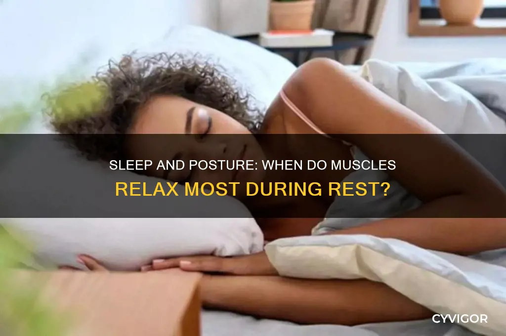 when are postural muscles most relaxed during sleep